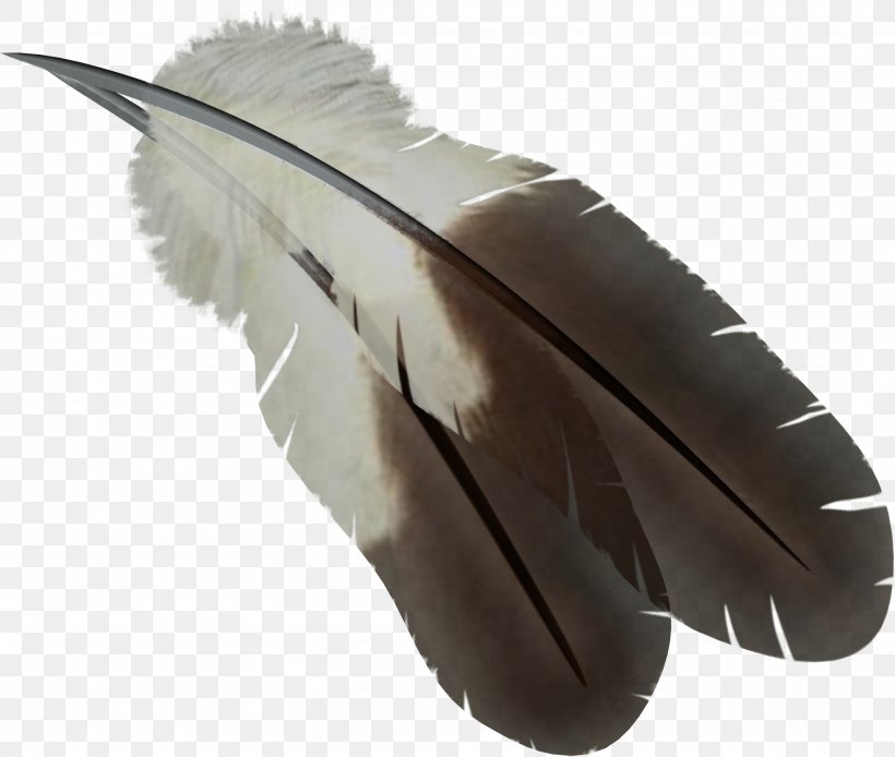Feather Computer File, PNG, 1948x1651px, Feather, Button, Digital Image, Image File Formats, Internet Media Type Download Free