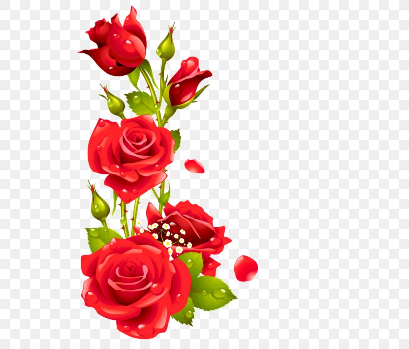 Floral Design Rose Picture Frames, PNG, 700x700px, Floral Design, Artificial Flower, Cut Flowers, Floristry, Flower Download Free