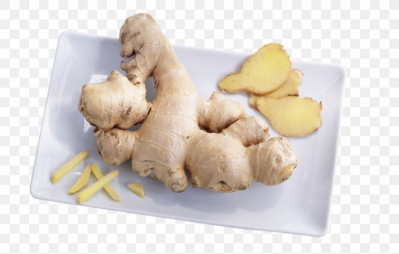 Ginger Onion Winter Condiment Health, PNG, 1200x765px, Ginger, Allium Fistulosum, Carnivoran, Condiment, Dog Like Mammal Download Free