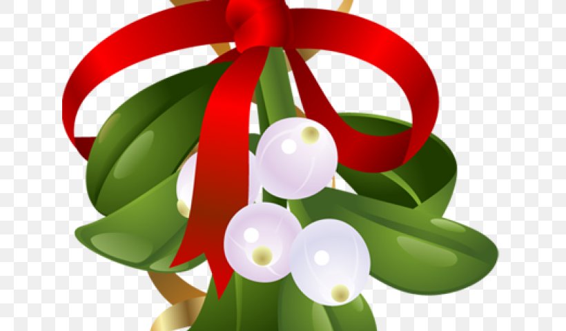 Mistletoe Clip Art Christmas Day Christmas Decoration, PNG, 640x480px, Mistletoe, Botany, Christmas Day, Christmas Decoration, Christmas Ornament Download Free