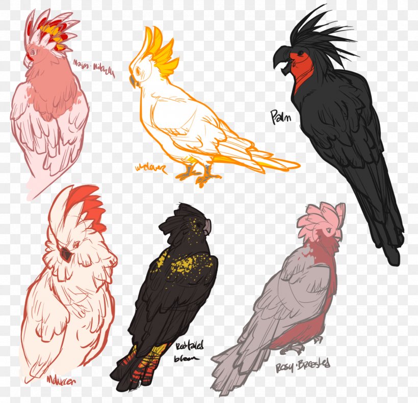Rooster Parrot Beak Bird Of Prey, PNG, 1280x1237px, Rooster, Art, Beak, Bird, Bird Of Prey Download Free