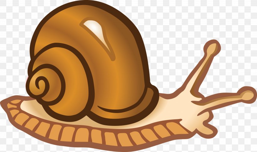 Snail Clip Art, PNG, 4000x2362px, Snail, Blog, Color, Drawing, Invertebrate Download Free