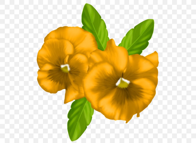 Flower Clip Art, PNG, 536x600px, Flower, Annual Plant, Flowering Plant, Idea, Microsoft Paint Download Free