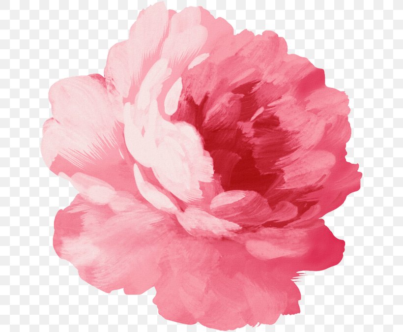 Pink Flowers Watercolor Painting Illustration Drawing, PNG, 660x675px, Pink Flowers, Art, Azalea, Blue, Carnation Download Free