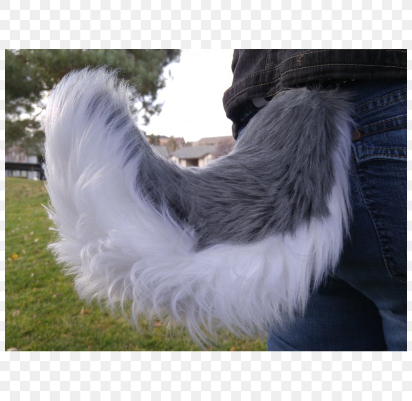 Siberian Husky Tail Cat Snout Fox, PNG, 800x800px, Siberian Husky, Cat, Clothing, Clothing Accessories, Costume Download Free