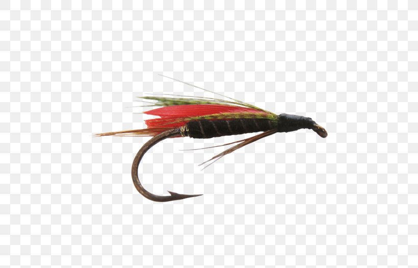 Artificial Fly Spoon Lure Insect Fishing Baits & Lures, PNG, 700x525px, Artificial Fly, Beak, Feather, Fishing Bait, Fishing Baits Lures Download Free