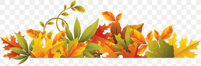 Autumn Leaf Color Clip Art, PNG, 1000x329px, Autumn Leaf Color, Autumn, Floral Design, Floristry, Flower Download Free