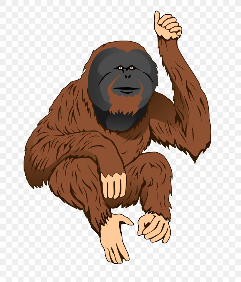 Bornean Orangutan Sumatran Orangutan Ape Clip Art, PNG, 1083x1265px, Bornean Orangutan, Ape, Art, Carnivoran, Cartoon Download Free