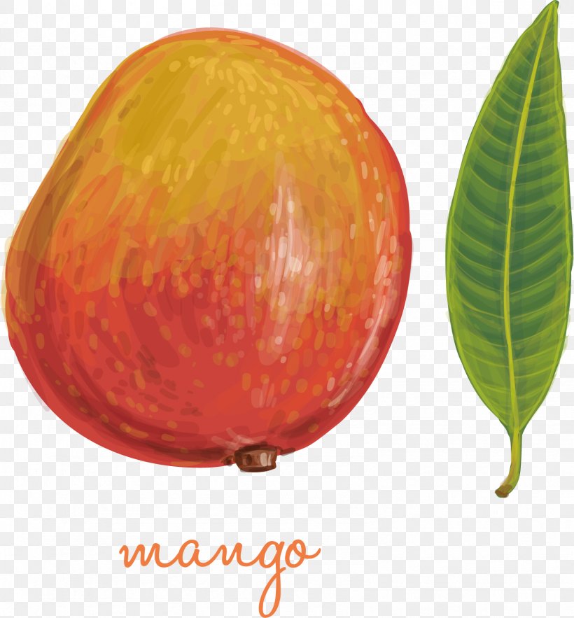 Leaf Mango, PNG, 1586x1709px, Leaf, Apple, Artworks, Drawing, Food Download Free