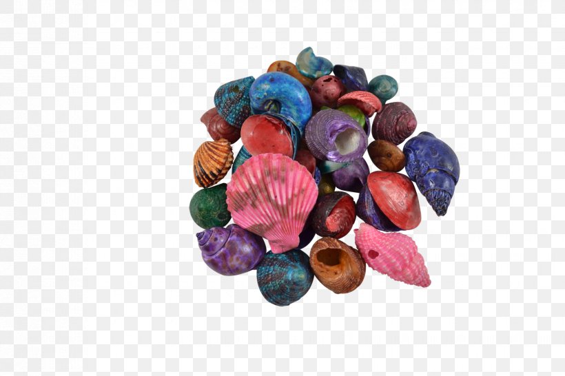 The Seashell Company Bead Craft Kilogram, PNG, 1650x1100px, Seashell, Bead, Craft, Fashion Accessory, Gallon Download Free