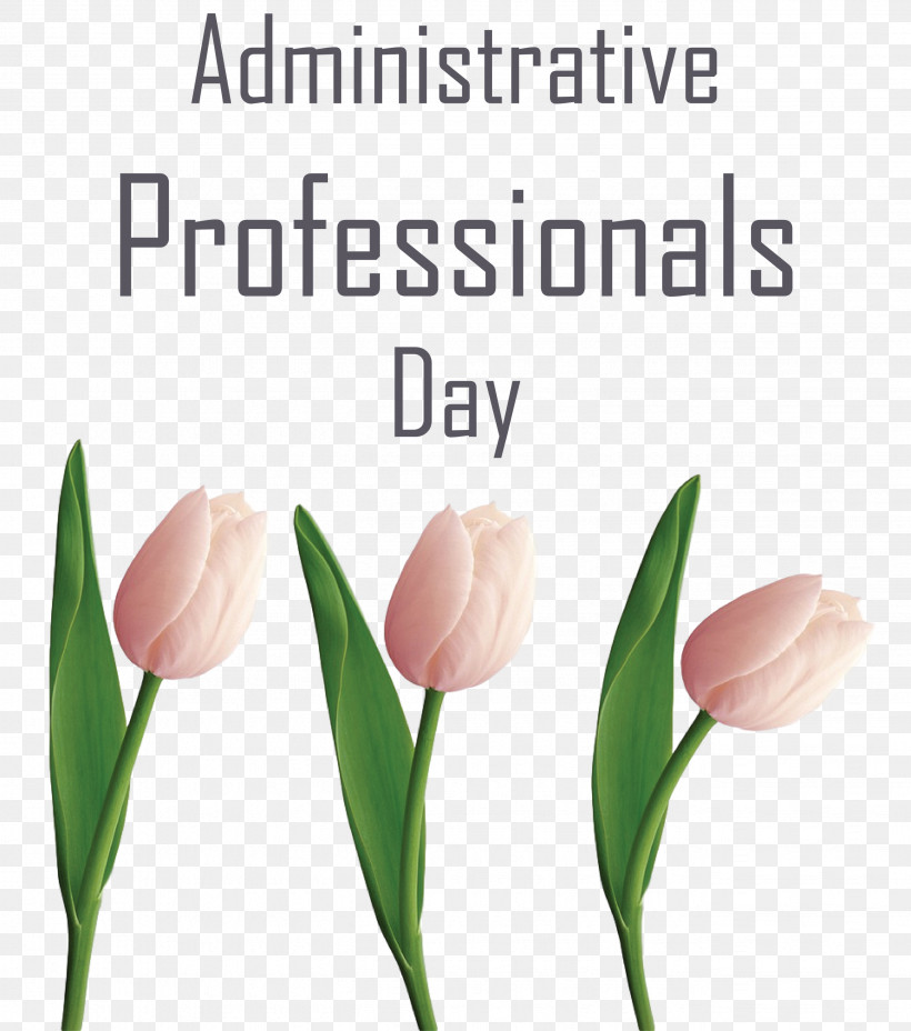 Administrative Professionals Day Secretaries Day Admin Day, PNG, 2649x3000px, Administrative Professionals Day, Admin Day, Biology, Bud, Cut Flowers Download Free