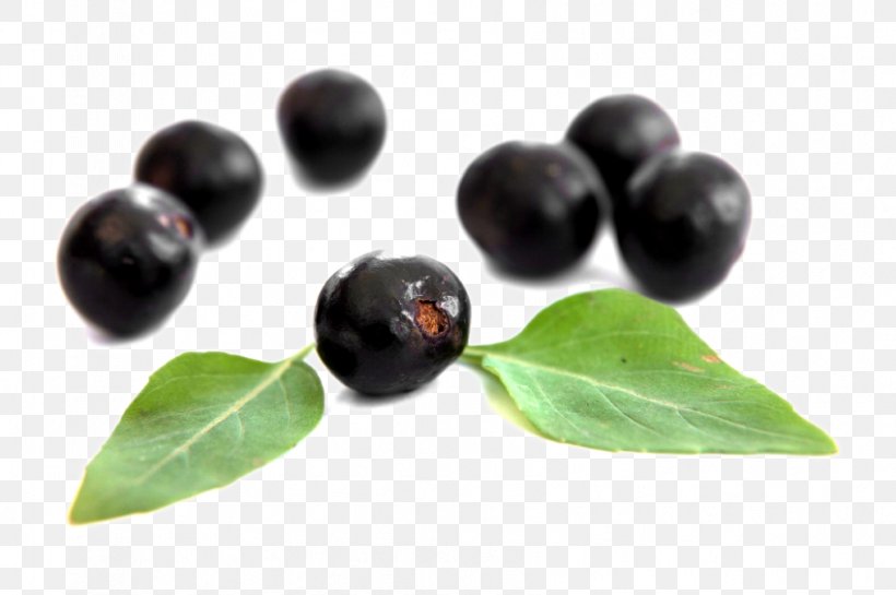 Dietary Supplement Berries Elderberry Antioxidant Superfood, PNG, 849x565px, Dietary Supplement, Antioxidant, Aristotelia Chilensis, Berries, Berry Download Free