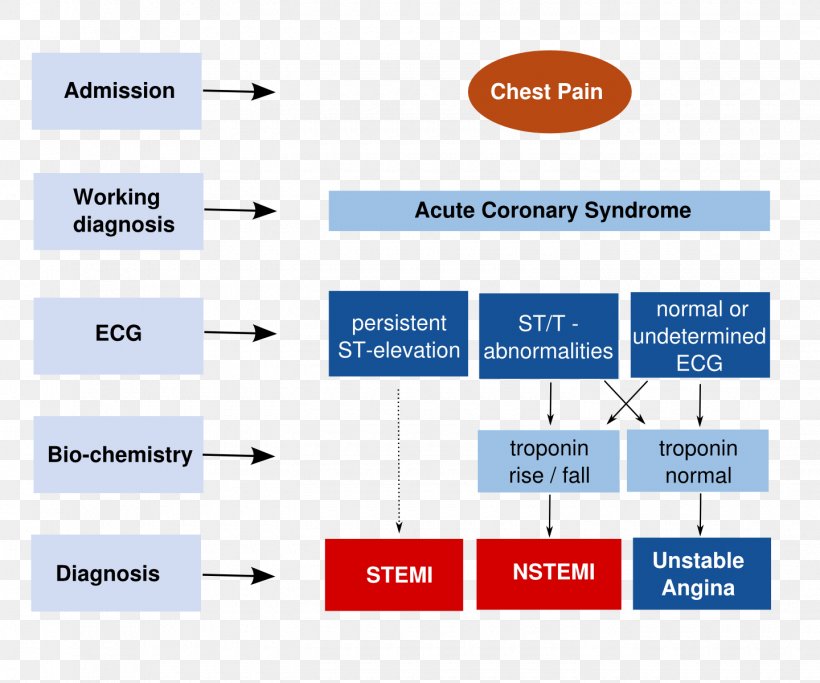 Unstable Angina Angina Pectoris Acute Coronary Syndrome Acute Myocardial Infarction ST Segment Elevation Myocardial Infarction, PNG, 1440x1200px, Watercolor, Cartoon, Flower, Frame, Heart Download Free