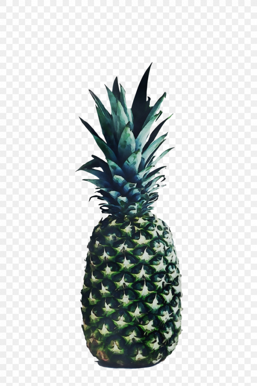 Pineapple, PNG, 1200x1800px, Watercolor, Barbados, Biology, Delivery, Flowerpot Download Free