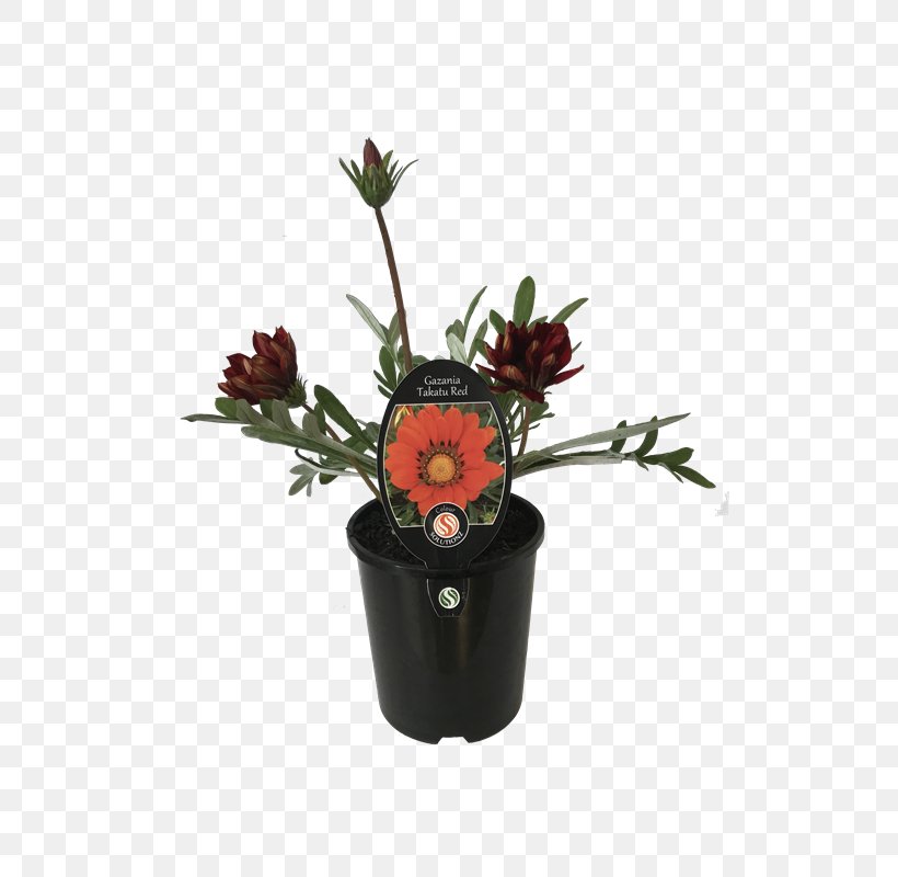 Cut Flowers Vase Plant Flowerpot, PNG, 800x800px, Flower, Artifact, Artificial Flower, Bunnings Warehouse, Cut Flowers Download Free
