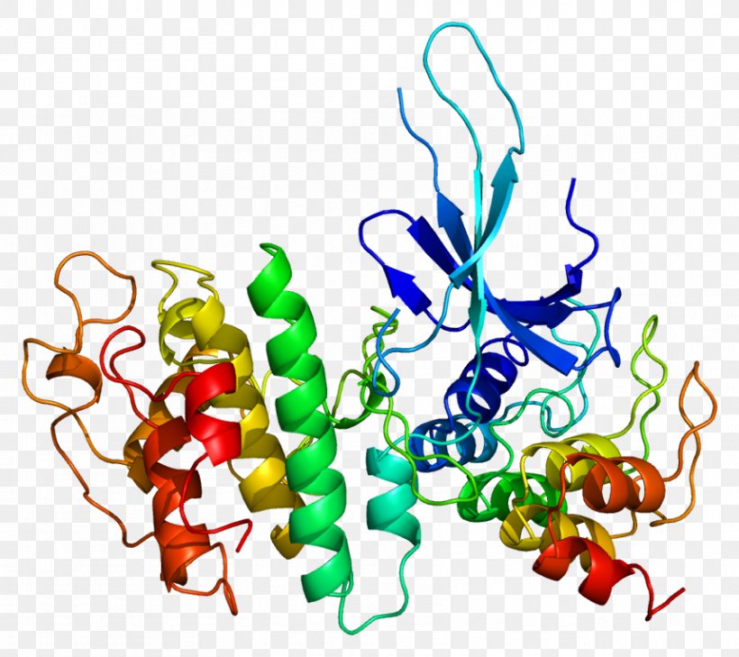 Cyclin-dependent Kinase 6 Cyclin-dependent Kinase Complex, PNG, 858x763px, Cyclindependent Kinase, Area, Artwork, Cyclin, Cyclin D Download Free