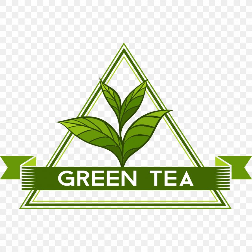Green Tea Camellia Sinensis, PNG, 1000x1000px, Tea, Area, Black Tea, Brand, Camellia Sinensis Download Free