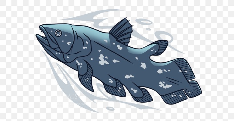 Shark Porpoise Cartoon, PNG, 600x427px, Shark, Animated Cartoon, Cartilaginous Fish, Cartoon, Cetacea Download Free