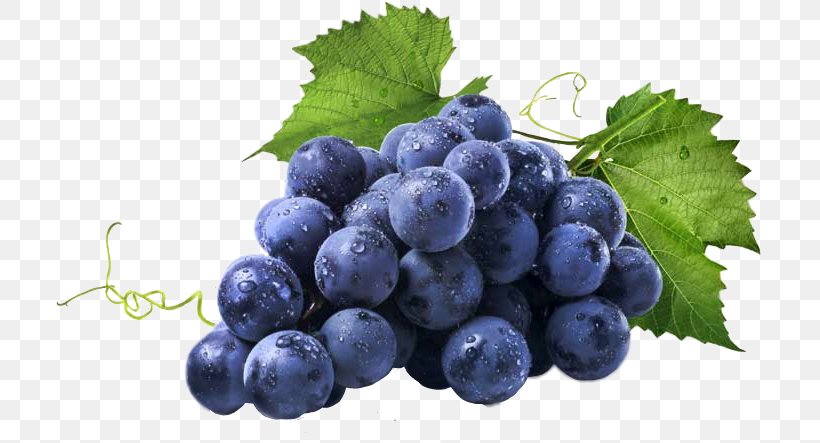 Common Grape Vine Wine Image Fruit, PNG, 707x443px, Common Grape Vine, Berry, Bilberry, Blueberry, Blueberry Tea Download Free