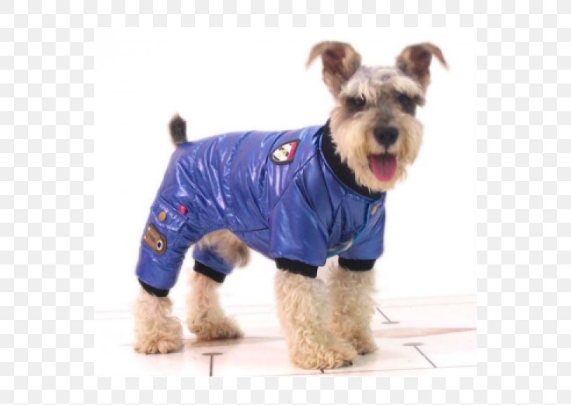 Dog Breed Miniature Schnauzer Windbreaker Clothing Coat, PNG, 550x582px, Dog Breed, Carnivoran, Clothing, Coat, Companion Dog Download Free