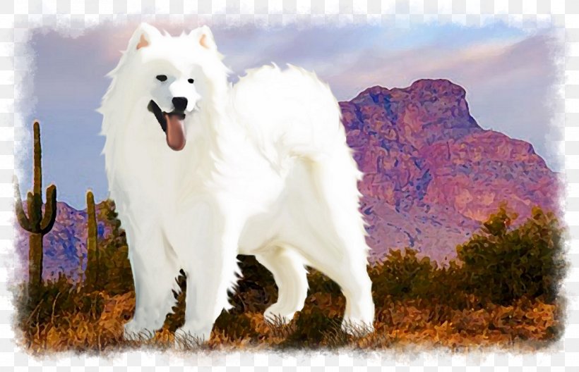 Dog Breed Samoyed Dog Canadian Eskimo Dog White Shepherd American Eskimo Dog, PNG, 1164x750px, Dog Breed, American Eskimo Dog, Berger Blanc Suisse, Breed, Canadian Eskimo Dog Download Free