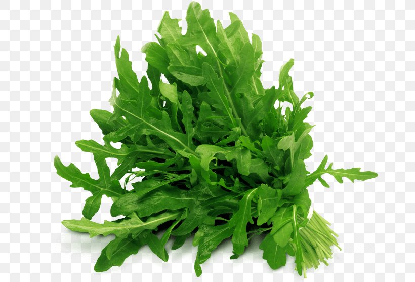 Parsley Arugula Vegetable Food Modified Atmosphere, PNG, 800x557px, Parsley, Arugula, Consumer, Coriander, Food Download Free