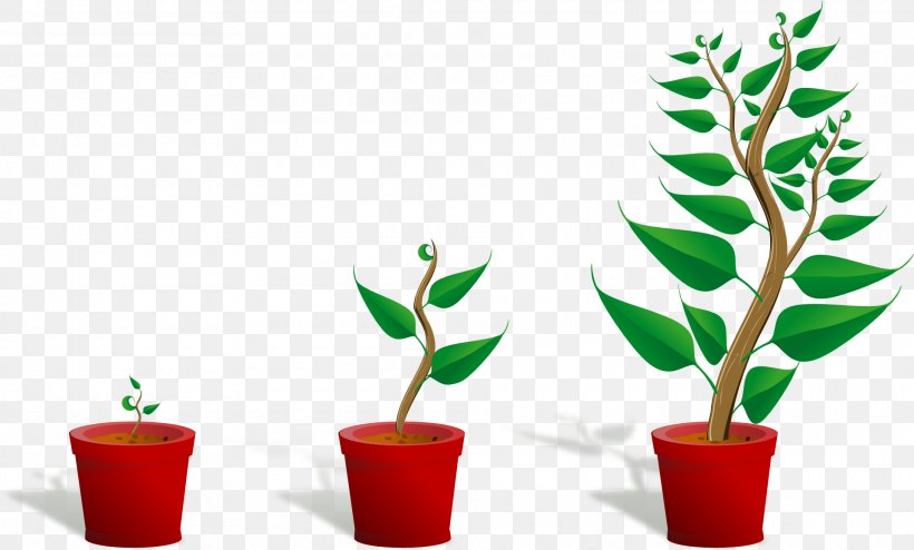 Bonsai Download Seedling Computer File, PNG, 1920x1157px, Bonsai, Flowerpot, Google Images, Houseplant, Leaf Download Free