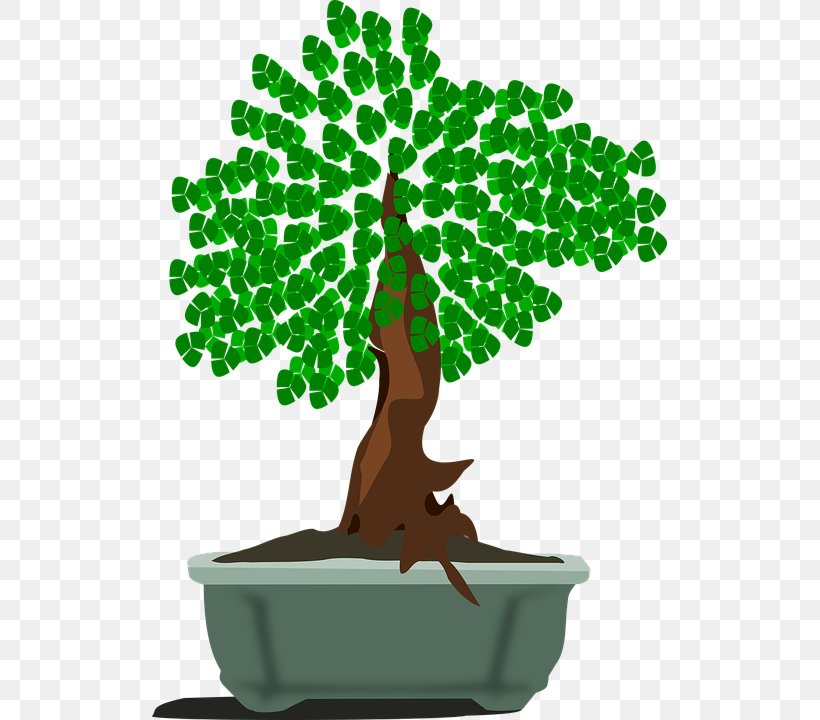 Bonsai Tree Graphics Clip Art Image, PNG, 515x720px, Bonsai, Art, Flowerpot, Houseplant, Line Art Download Free