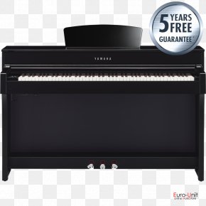 Piano - Digital Piano Electric Piano Musical Keyboard Player Piano Pianet PNG