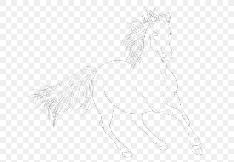 Mustang .to Stallion Pack Animal Sketch, PNG, 668x567px, Mustang, Artwork, Black And White, Character, Colt Download Free