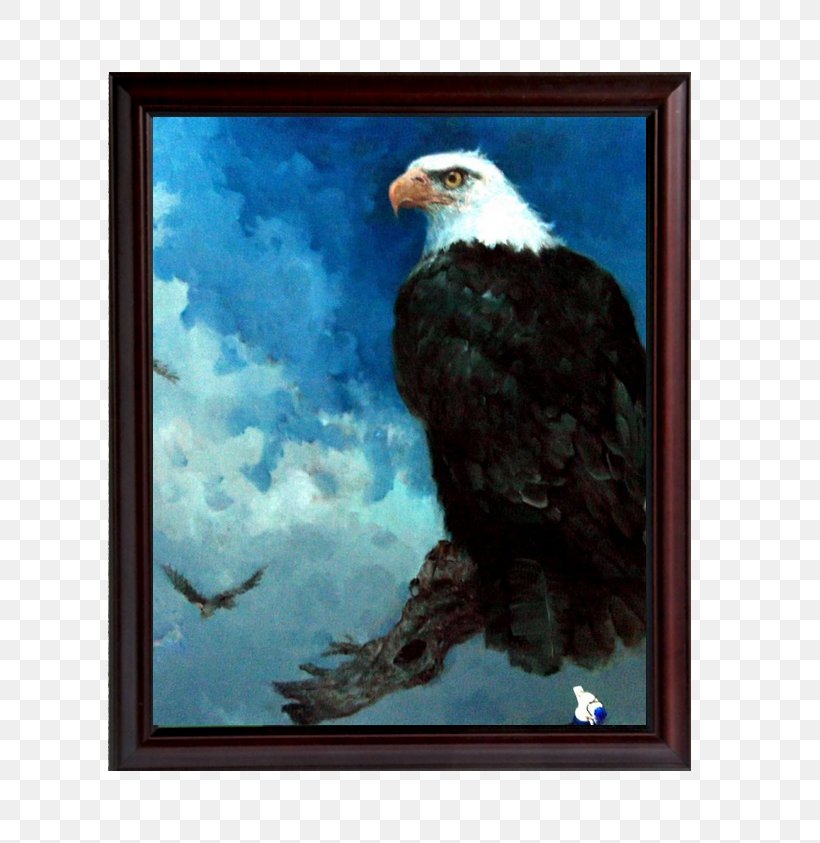 Oil Painting Bald Eagle Canvas, PNG, 800x843px, Painting, Accipitriformes, Bald Eagle, Beak, Bird Download Free