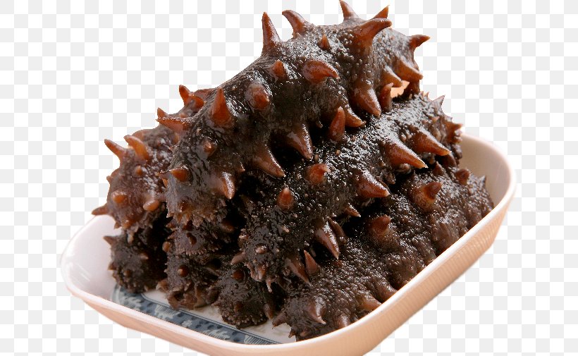 Shandong Sea Cucumber As Food Seafood, PNG, 656x505px, Shandong, Abalone, Animal Source Foods, Aquaculture, Catty Download Free