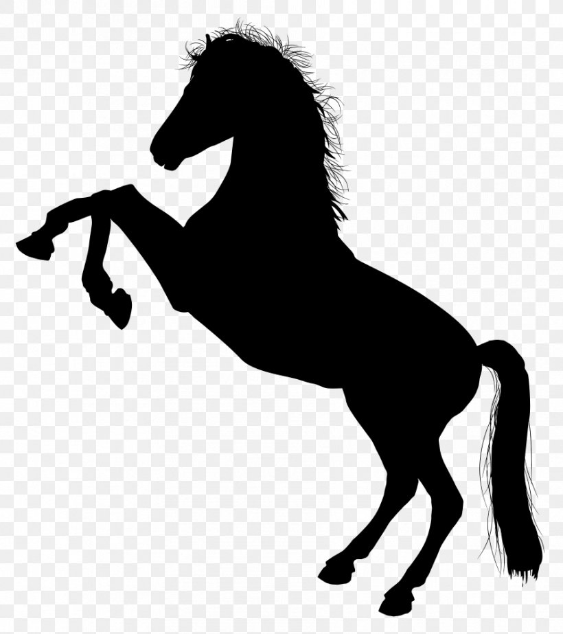 White Black Clip Art Andalusian Horse Stallion, PNG, 888x1000px, White, Andalusian Horse, Animal Figure, Black, Blackandwhite Download Free