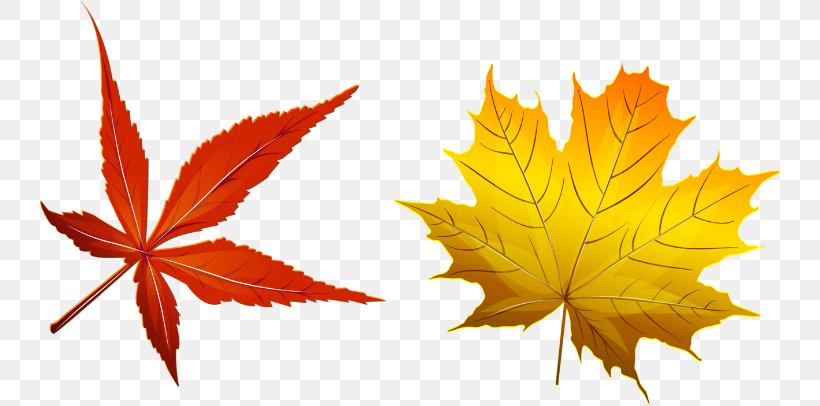 Autumn Image Leaf Vector Graphics, PNG, 740x406px, Autumn, Autumn Leaf Color, Leaf, Maple, Maple Leaf Download Free