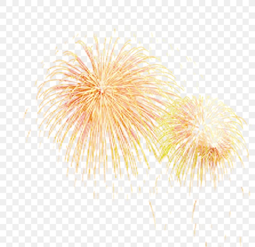 Fireworks Download Pattern, PNG, 794x794px, Fireworks, Pink, Yellow Download Free
