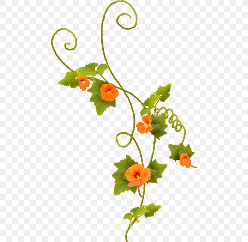Floral Design Flower, PNG, 484x800px, Floral Design, Branch, Cut Flowers, Flora, Floristry Download Free
