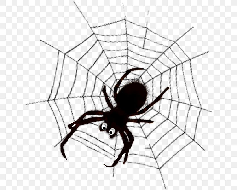 Spider Web Spider Silk Clip Art, PNG, 650x655px, Spider, Arachnid, Area, Arthropod, Artwork Download Free