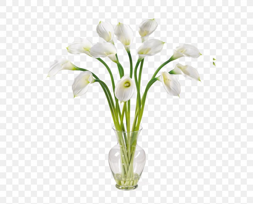 Arum-lily Artificial Flower Lilium Callalily, PNG, 2048x1658px, Arumlily, Artificial Flower, Bulb, Calla Lily, Callalily Download Free