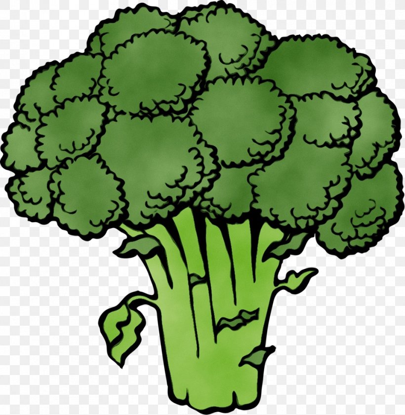 Green Cruciferous Vegetables Leaf Vegetable Plant Clip Art, PNG, 958x983px, Watercolor, Broccoli, Cruciferous Vegetables, Flower, Green Download Free