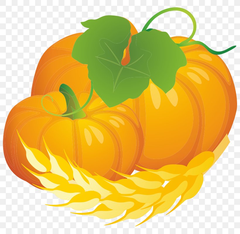 Jack-o'-lantern Pumpkin Winter Squash Calabaza Gourd, PNG, 800x800px, Pumpkin, Apple, Calabaza, Car, Cucumber Gourd And Melon Family Download Free