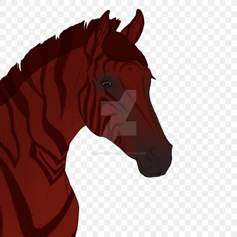 Pony Mustang Stallion Halter Rein, PNG, 894x894px, Pony, Animal, Bridle, Colt, Fictional Character Download Free