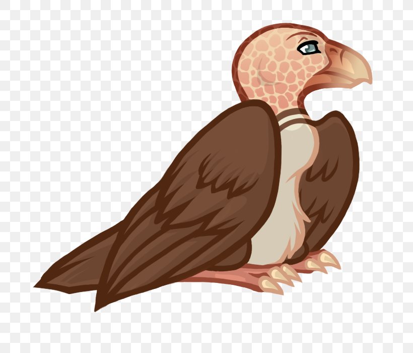 Vulture Beak Eagle Bird, PNG, 750x700px, Vulture, Beak, Bird, Bird Of Prey, Cartoon Download Free