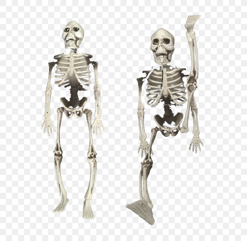 Bone April Fools Day Kuso White Skeleton, PNG, 800x800px, Bone, April Fools Day, Art, Costume Design, Hoax Download Free