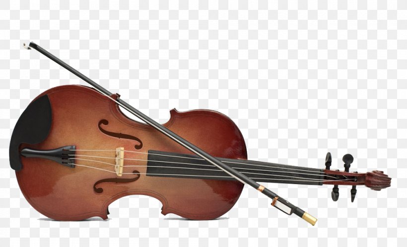 Conservatoire De Paris Violin Musical Instrument Viola, PNG, 1000x609px, Watercolor, Cartoon, Flower, Frame, Heart Download Free