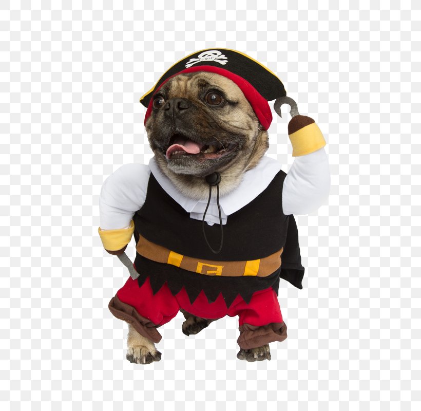 Dog Breed Pug Halloween Costume Clothing, PNG, 800x800px, Dog Breed, Breed, Carnivoran, Cat, Clothing Download Free