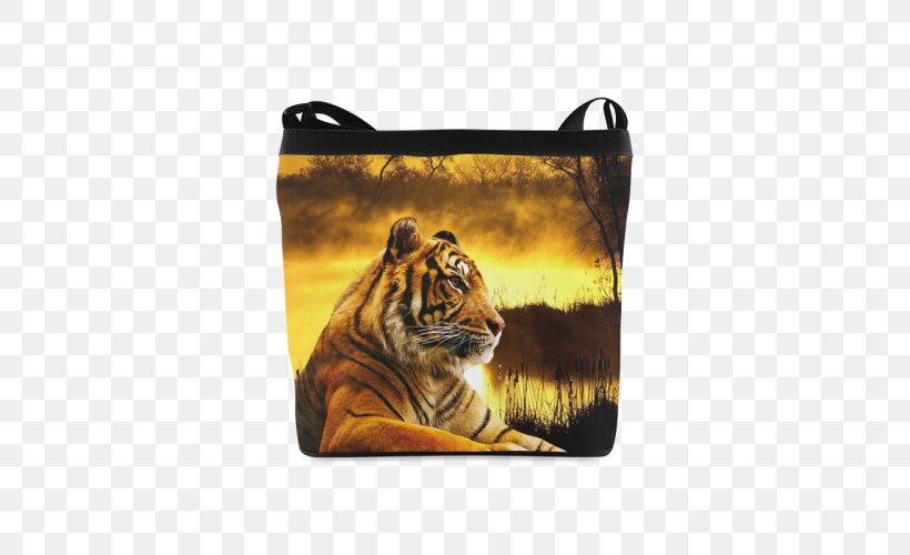 Felidae Cat Lion Bengal Tiger White Tiger, PNG, 500x500px, Felidae, Animal, Bengal Tiger, Big Cat, Big Cats Download Free