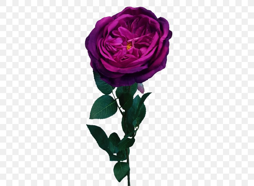 Garden Roses Cabbage Rose Floral Design Cut Flowers, PNG, 800x600px, Garden Roses, Artificial Flower, Cabbage Rose, Cut Flowers, Floral Design Download Free