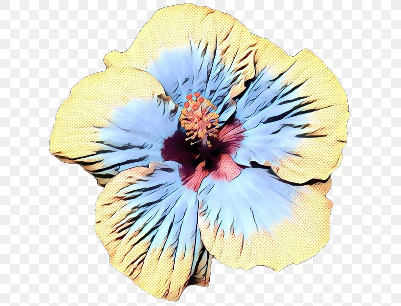 Hibiscus Hawaiian Hibiscus Flower Petal Plant, PNG, 626x626px, Pop Art, Chinese Hibiscus, Flower, Flowering Plant, Hawaiian Hibiscus Download Free