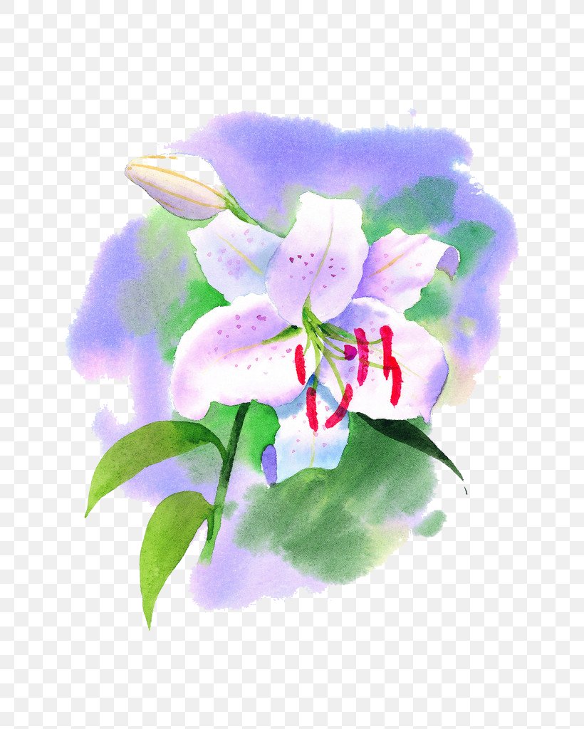 Lilium Flower Water Lily Watercolor Painting, PNG, 724x1024px, Lilium, Art, Arumlily, Flora, Floral Design Download Free