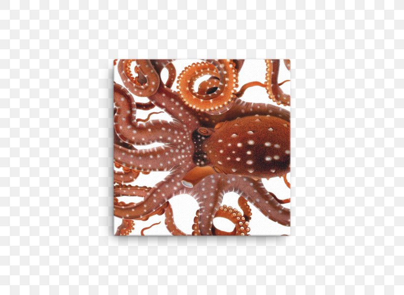 Octopus Squid Drawing Cephalopod, PNG, 600x600px, Octopus, Art, Biological Illustration, Botanical Illustration, Canvas Print Download Free